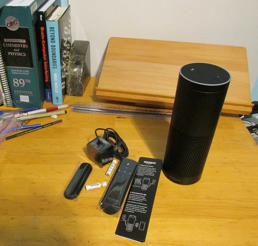 The Amazon Echo is one of the products in the Amazon-branded device businesses